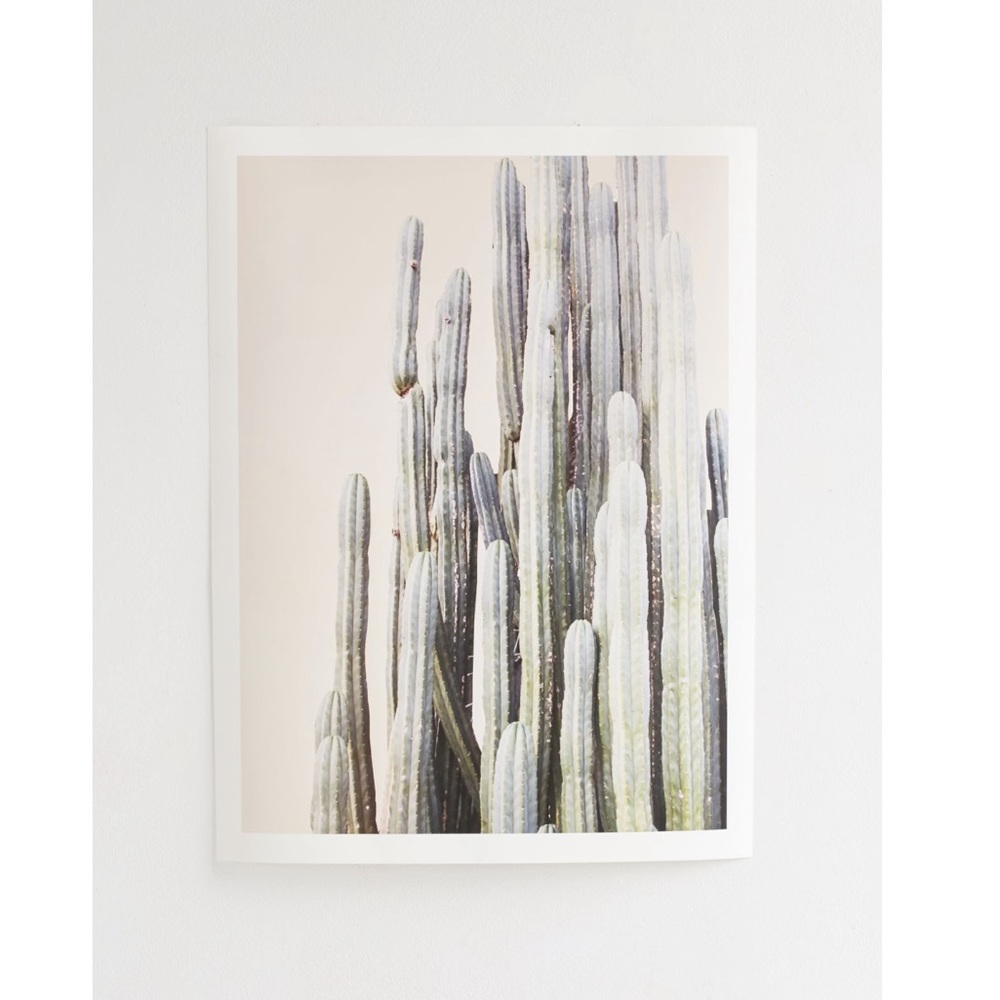 Wilder California Summer Cactus Art Print